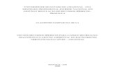 UNIVERSIDADE DO ESTADO DO AMAZONAS UEA MESTRADO ... · Dissertação apresentada ao Programa de Pós-Graduação em Gestão e Regulação de Recursos Hídricos da Universidade do