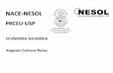 NACE-NESOL - Portal da Câmara dos Deputados€¦ · Bancos Comunitários –Cerimônia de Lançamento dos Bancos em São Paulo –junho 2009 Banco Apuanã Jd. Filhos da Terra Zona