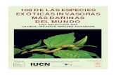 100 DE LAS ESPECIES EXÓTICAS INVASORAS MÁS DAÑINAS DEL … especies invasoras.pdf · 2019-12-18 · Cangrejo rojo de tierra juega un importan-te rol en el ecosistema forestal de