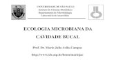 ECOLOGIA MICROBIANA DA CAVIDADE BUCALbmm/mariojac/arquivos/Aulas/site_eco...microbiota bucal; e 4. Estuda as relações abióticas (influência do meio ambiental - hospedeiro) sobre
