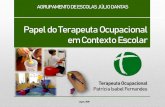 Papel do Terapeuta Ocupacional em Contexto Escolar · 2018-11-06 · O Terapeuta Ocupacional em Contexto Escolar De forma a dar resposta às necessidades educativas dos alunos o Terapeuta