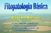 CONCEITO E HISTÓRIA DA FITOPATOLOGIA · História da Fitopatologia Ciência relativamente nova Doença - problema antigo ... •Brasil - 26/05/01 - Paran ... CONCEITO E HISTÓRIA