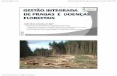 Aula 16 de setembro 2019 Fundamentos ecológicos da gestão ... · ULisboa-ISAgronomia Gestão Integrada de Pragas e Doenças Florestais, 2019-2020 Ana Paula Ramos, pramos@isa.ulisboa.pt