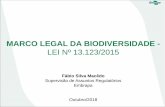 MARCO LEGAL DA BIODIVERSIDADE - Ufba · Marco legal da biodiversidade Convenção sobre Diversidade Biológica (CDB) -1992 Lei nº 13.123/2015 (entrou em vigor em 17/11/2015 e revogou