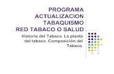 PROGRAMA ACTUALIZACION TABAQUISMO RED ... RED TABACO O SALUD Historia del Tabaco. La planta del tabaco.