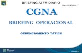 Título da Palestra - CGNAportal.cgna.gov.br/files/abas/2017-08-11/painel_brifim_diario_atfm/... · data:11/ago/2017. mÉdia de atrasos 09:00p 08:00h. gerÊncia regional 1 . fir brasilia