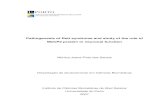 Pathogenesis of Rett syndrome and study of the role of MeCP2 … · 2011-08-11 · viii - Santos M , Temudo T, Carrilho I, Gaspar I, Barbot C, Medeira A, Cabral H, Oliveira G, Gomes