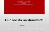 FEDERAÇÃO ESPÍRITA BRASILEIRA Mediunidade: Estudo e ... · O médium principiante pode participar de imediato de ... Por uma simples questão de bom senso, o médium deve, primeiramente,