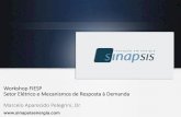 Workshop FIESP Setor Elétrico e Mecanismos de Resposta à ... · Marcelo Aparecido Pelegrini, Dr. Sinapsis Inovação em Energia • Sinapsis é uma empresa de base tecnológica