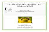 DETEÇÃO DE PESTICIDAS EM ABELHAS E MEL (FMV/ULiboa& … · 2016-02-19 · abelhas e mel provenientes de colónias localizadas em Portugal, determinando a sua ordem de importância
