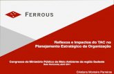 Reflexos e Impactos do TAC no Planejamento Estratégico da ... · •FERROUS está estudando o desenvolvimento de três plantas de pelotização com 7Mtpa de capacidade cada, uma