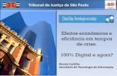 Efeitos econômicos e eficiência em tempos de crise. · Tribunal de Justiça de São Paulo. Inovações em pesquisa Nuvem pública para armazenamento de backup, cursos, gravação