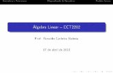 Álgebra Linear ECT2202rbatista/files/al/av_slides.pdf · Autovalores e AutovetoresDiagonalização de OperadoresProduto Interno Álgebra Linear ECT2202 Prof. Ronaldo Carlotto Batista