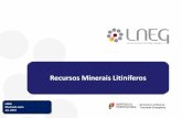 Recursos Minerais Litiníferos - Município de Nelas - CM ... · Exploração Mineira. Concessão. Os recursos minerais ocorrem na crusta superior sob formas, abundâncias e níveis