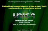 Beatriz Stuart Secaf - Website: …...Beatriz Stuart Secaf Analista Ambiental União da Indústria de Cana-de-Açúcar Bogotá, 12 de Diciembre 2012 POLITICA UE MULTISTAKEHOLDER NACIONALES