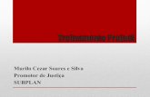 SUBPLAN Promotor de Justiça Murilo Cezar Soares e Silva …site.mppr.mp.br/arquivos/File/dti/Tutorial/SLIDES... · 2018-04-19 · certificação nos autos (artigo 5º, §5º, LPE).