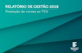 RELATÓRIO DE GESTÃO 2018 - Instituto Federal de ... · faixa etária, situação funcional, carreira, área de trabalho e unidade de exercício 82 5.2.3 Estratégia de recrutamento