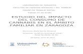 ESTUDIO DEL IMPACTO DEL CONSUMO DE CANNABIS EN EL ÁMBITO …invenio2.unizar.es/record/11113/files/TAZ-TFG-2013-507.pdf · 1. INTRODUCCIÓN. PRESENTACIÓN GENERAL Y JUSTIFICACIÓN