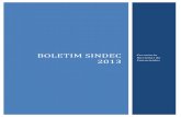 Boletim Sindec 2013 - justica.gov.br · O Boletim Sindec 2013 é a publicação da Secretaria Nacional do Consumidor - Senacon ... Banco Comercial foi o assunto mais demandado em
