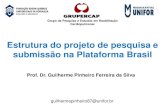 Estrutura do projeto de pesquisa e submissão na Plataforma ... · Estrutura do Projeto de Pesquisa •Normatização - Associação Brasileira de Normas Técnicas (ABNT)-American