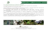 Le presentamos Selva Negra Rates-Espanol.pdf · 2014-04-08 · SelvaNegraEcolodgeyHaciendadeCafé ! KM140CarreteraMatagalpa