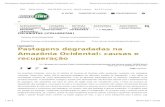 Pastagens degradadas na Amazônia Ocidental: causas e …ainfo.cnptia.embrapa.br/digital/bitstream/item/160293/1/... · 2017-05-30 · BMF Milho (SET/17) US$ 26,950 (-34,27%) DÓLAR