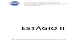 ESTÁGIO II - UNILAGOS · 2018-12-19 · RELATÓRIO DE ESTÁGIO SUPERVISIONADO II NOME DO ALUNO Relatório de Estágio Supervisionado entregue à Coordenação de Estágio como requisito