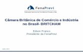 Câmara Britânica de Comércio e Indústria no Brasil- BRITCHAM · 2019-03-29 · MUDANÇA DEMOGRÁFICA E SOCIOECONÔMICA Longevidade e Envelhecimento O Brasil ainda é jovem, mas