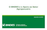 O BNDES e o Apoio ao Setor Agropecuárioabracen.org.br/wp-content/uploads/2013/11/ApoioCreditoR... · 2016. 8. 3. · expansão da capacidade produtiva, ao aumento da produtividade