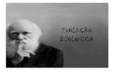 EVOLUÇÃO - Colégio Unitauescola.unitau.br/files/arquivos/category_1/Profa... · teoria sintética da evolução. NEODARWINISMO Pontos básicos da teoria moderna: a) As variações