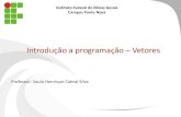 Introdução a programação Vetores 5.pdf · Introdução a programação – Vetores Professor: Saulo Henrique Cabral Silva Instituto Federal de Minas Gerais ... /5 = 4 Número