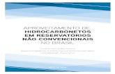 ANP · (Brasil). Aproveitamento de hidrocarbonetos em reservatórios não convencionais no Brasil / Programa de Mobilização da . Indústria Nacional de Petróleo e Gás Natural.