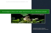 Estratégia e Plano de Ação Nacionais para a Biodiversidade (old).pdf · O Brasil é um país megadiverso cuja exuberância da flora e fauna encontradas em seu território de proporções