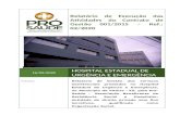 €¦ · Web viewURGÊNCIA E EMERGÊNCIA Protocolo Relatório de Gestão dos serviços assistenciais prestados no Hospital Estadual de Urgência e Emergência, no Município de Vitória