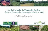 Prof. Pedro Brancalion - Laboratório de Silvicultura Tropicalesalqlastrop.com.br/img/aulas/aula 2 - LPVN(2).pdf · 1850 maioria das áreas agrícolas eram públicas 1934 aumento