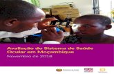 Avaliação do Sistema de Saúde Ocular em Moçambique · 2019. 8. 7. · Apêndice 2: Relatório anual do MECC – 2016 51. 5 Avaliação do Sistema de Saúde Ocular em Moçambique