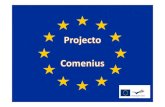 O Programa COMENIUS visa melhorar a …• O Programa COMENIUS visa melhorar a qualidade e reforçar a dimensão europeia da educação, tentando atingir todos os intervenientes e