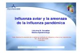 Sit influenza aviar Amenaza de pandemia vina final · Influenza aviar y la amenaza de la influenza pand émica Taller Nacional Evaluación de la vigilancia centinela de Influenza
