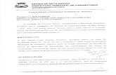 Prefeitura Municipal de Paranatinga - Mato Grosso · Portaria n.0 286/2011 no cargo de Professor Il B Rural, com carga horária de 26 horas semanais. Verificou-se também, a servidora