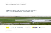 SUMÁRIO EXECUTIVO · 3 ESTUDOS DE ENGENHARIA E AFINS Essa seção apresenta o Sumário Executivo do Relatório dos Estudos de Engenharia e Afins para a concessão do Aeroporto de
