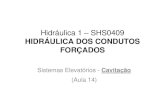 Hidráulica 1 – SHS0409 HIDRÁULICA DOS CONDUTOS FORÇADOS€¦ · característica das instalações de sucção, que pode ser calculado SISTEMAS ELEVATÓRIOS – CAVITA ÇÃO (NPSHr)