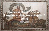 Pourquoi choisir l’option Langues et cultures antiques ? (LCA)webetab.ac-bordeaux.fr/t3_0333121n/fileadmin/0333121N/... · 2020. 2. 18. · VALES ? VERY THANK . De FACTO VALES ?