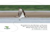 Relatório de Rotas e Áreas de Concentração de Aves Edição ... · 8 Relatório de Rotas e Áreas de Concentração de Aves Migratórias no Brasil Relatório de Rotas e Áreas