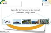 Operador de Transporte Multimodal: Desafios e Perspectivasportal.antaq.gov.br/wp-content/uploads/2016/12/Operador... · 2017. 3. 8. · Art. 2º - Transporte Multimodal de Cargas