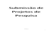 Submissão de Projetos de Pesquisaportal.ufvjm.edu.br/prppg/comite-e-comissoes/comite-de... · 5 5 – Ao clicar em , o sistema apresentará o formulário de