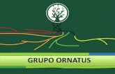 GRUPO ORNATUS - Home | Valor Econômico · Barueri no ano de 2014 –Pesquisa GPTW. Cuidando de pessoas. Grupo Ornatus em Números. Subsidiárias em ... •Mais conectados •Mais