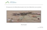 Programa de Monitorização do Lixo Marinho em praiasapambiente.pt/_zdata/Relatrio Lixo Marinho 2015.pdf · 2016. 10. 24. · Quanto às origens do lixo marinho (pesca, navegação,