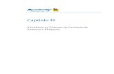 Capítulo 10 - ExxonMobil · 10.2.2 Avaliar a Significância 10-3 10.2.3 Estrutura dos Capítulos de Avaliação de Impactos 10-6 10.3 WORKSHOPS DE INTEGRAÇÃO E MITIGAÇÃO 10-7