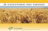 A cultura do trigo - Biblioteca AGPTEA · 2019. 6. 13. · da segurança alimentar e nutricional, tem contribuído de maneira eficaz na transparência, ... da agronomia e da economia.