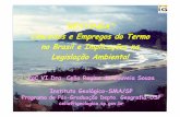 “RESTINGA”: Conceitos e Empregos do Termo no Brasil e ... · “RESTINGA”: Conceitos e Empregos do Termo no Brasil e Implicações na Legislação Ambiental PqC VI Dra. Celia